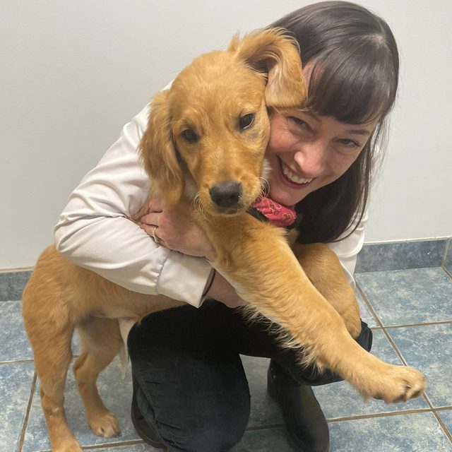 Dr. Leigh MacDonald hugging a golden retriever puppy